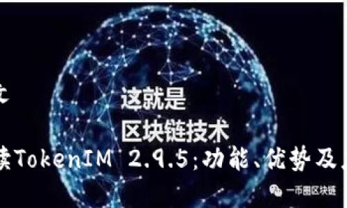 意大利文 

深入解读TokenIM 2.9.5：功能、优势及应用场景