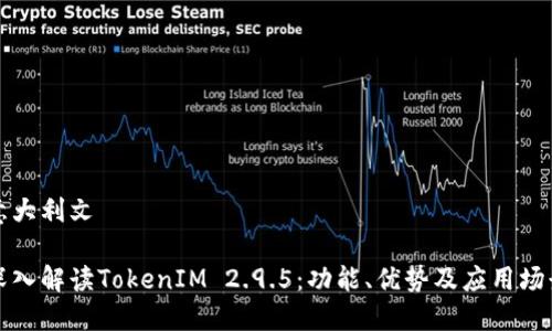 意大利文 

深入解读TokenIM 2.9.5：功能、优势及应用场景