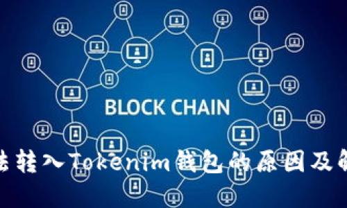 XMR无法转入Tokenim钱包的原因及解决方案