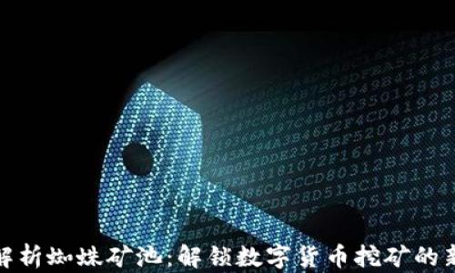 
深入解析蜘蛛矿池：解锁数字货币挖矿的新机遇