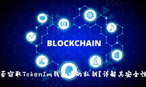 恶意程序能否窃取TokenIm钱包中的私钥？详解其安全性与防护措施
