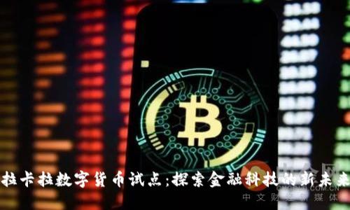 拉卡拉数字货币试点：探索金融科技的新未来