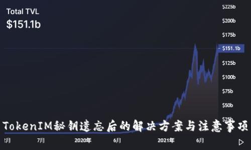 TokenIM秘钥遗忘后的解决方案与注意事项