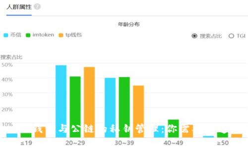 Tokenim钱包与公链的私钥管理：你需要知道的真相