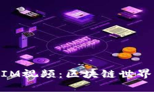 深入了解TokenIM视频：区块链世界的便捷沟通平台