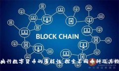 : 央行数字货币的多样性：