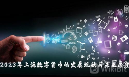 2023年上海数字货币的发展现状与未来展望