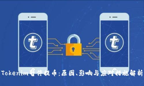 Tokenim暂停提币：原因、影响与应对措施解析