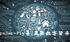 深入探讨Tokenim Pig币：未来