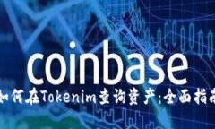 如何在Tokenim查询资产：全面指南