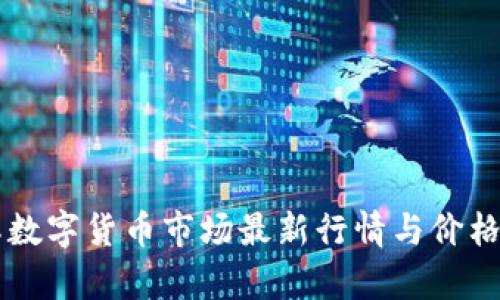 国际数字货币市场最新行情与价格解析