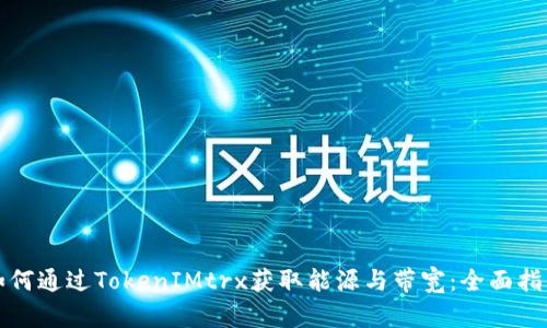 如何通过TokenIMtrx获取能源与带宽：全面指南