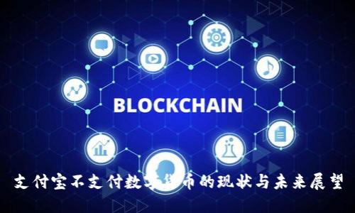 支付宝不支付数字货币的现状与未来展望