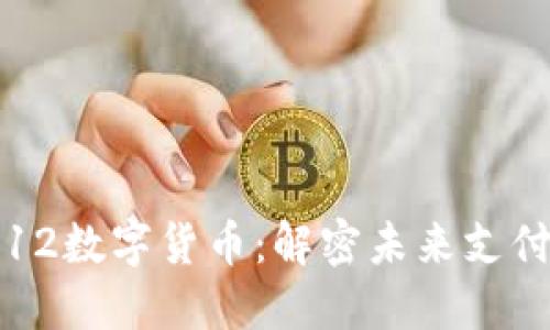 苏州双12数字货币：解密未来支付新趋势