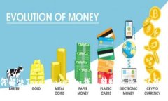 如何解决Tokentokenim钱包转