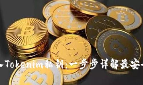 如何导入Tokenim私钥：一步步详解最安全的方法