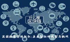 英国数字货币组织：未来