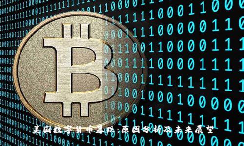 美国数字货币暴跌：原因分析及未来展望