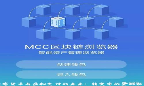 
数字货币与虚拟支付的未来: 转变中的金融格局