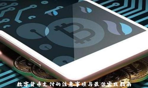 
数字货币支付的注意事项与最佳实践指南