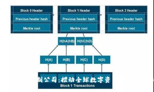 数字货币标准研制公司：推动全球数字资产的规范化与发展