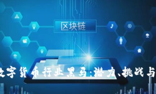 2023年数字货币行业黑马：潜力、挑战与未来趋势