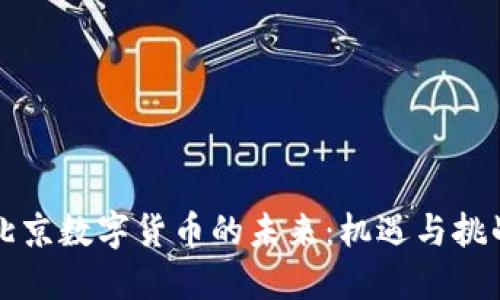 北京数字货币的未来：机遇与挑战