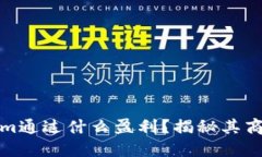 Tokenim通过什么盈利？揭秘