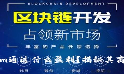 Tokenim通过什么盈利？揭秘其商业模式