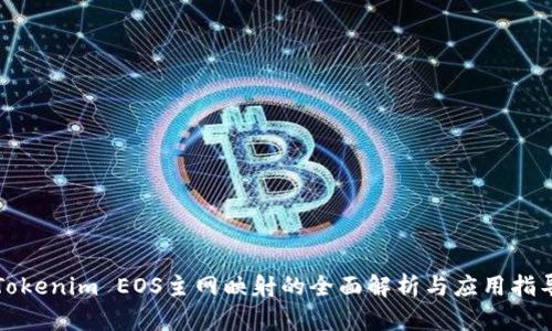 Tokenim EOS主网映射的全面解析与应用指导