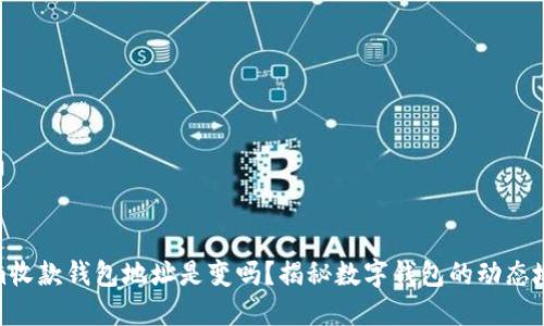 Tokenim收款钱包地址是变吗？揭秘数字钱包的动态地址机制