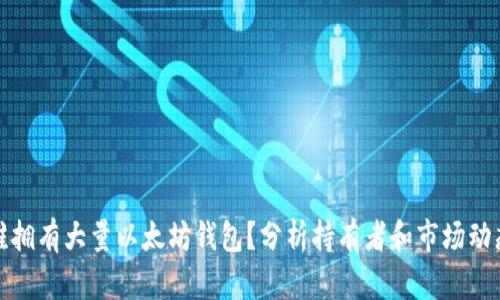 谁拥有大量以太坊钱包？分析持有者和市场动态