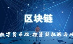 涨停的数字货币股：投资