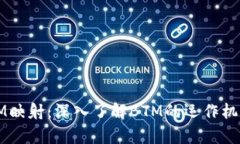 TokenIM BTM映射：深入了解
