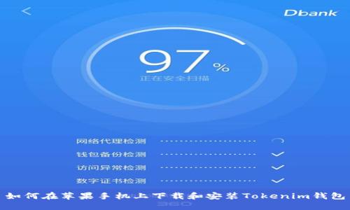 如何在苹果手机上下载和安装Tokenim钱包