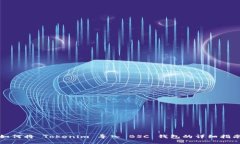 如何将 Tokenim 导入 BSC 钱包的详细指南
