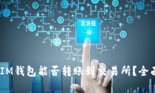 TokenTokenIM钱包能否转账到交易所？全面解析与指导