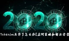 如果Tokenim关停了怎么办？应对策略和解决方案分
