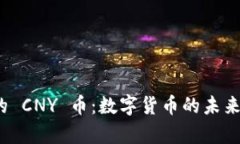 TokenIm 的 CNY 币：数字货币的未来与投资前景